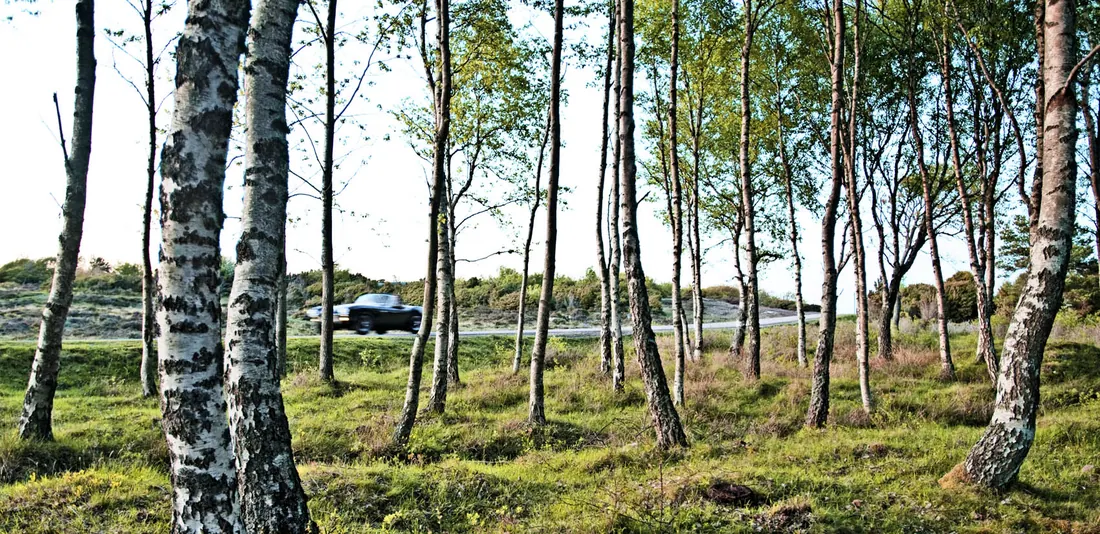 a cobra in sweden - ramp magazine — photograph 2 by bernd kammerer