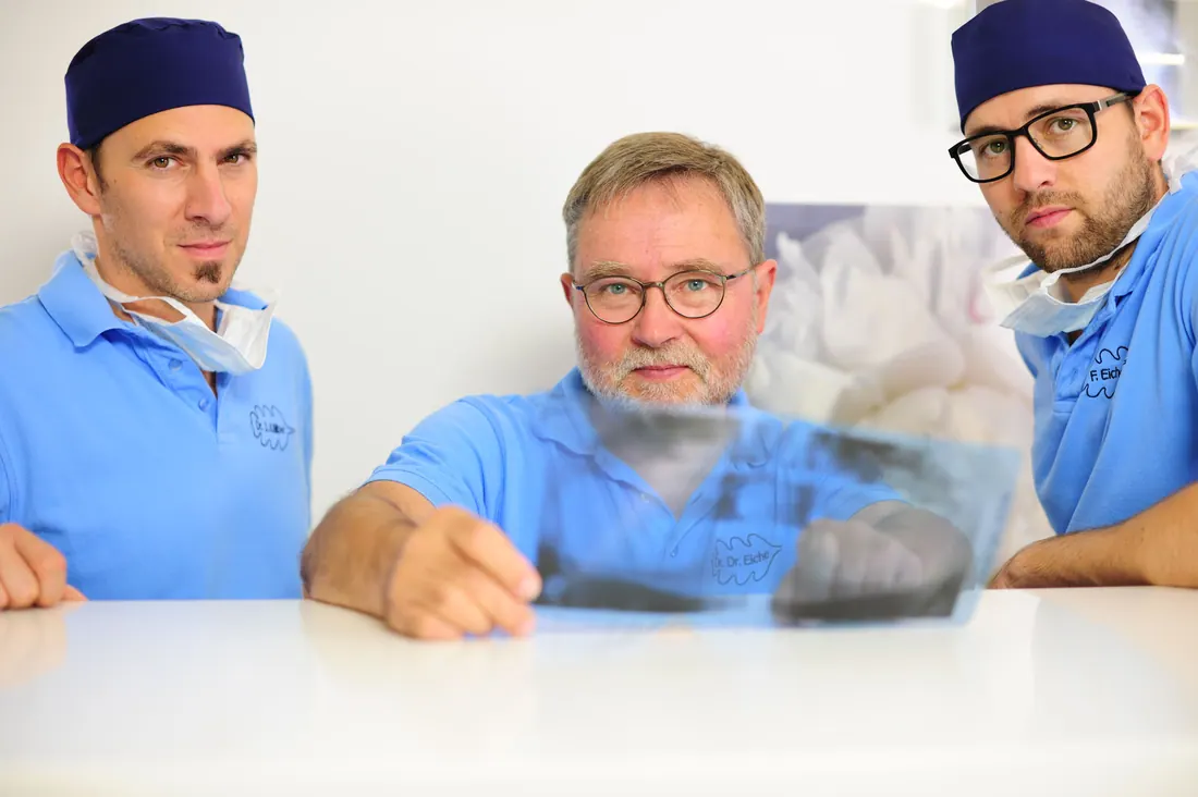 DR.DR. Eiche — photograph 6 by bernd kammerer
