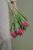hanging_on_reduced